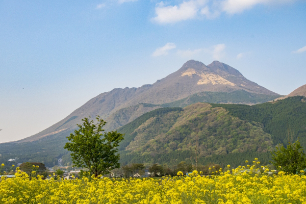 由布岳 イメージ