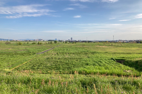 現地の風景