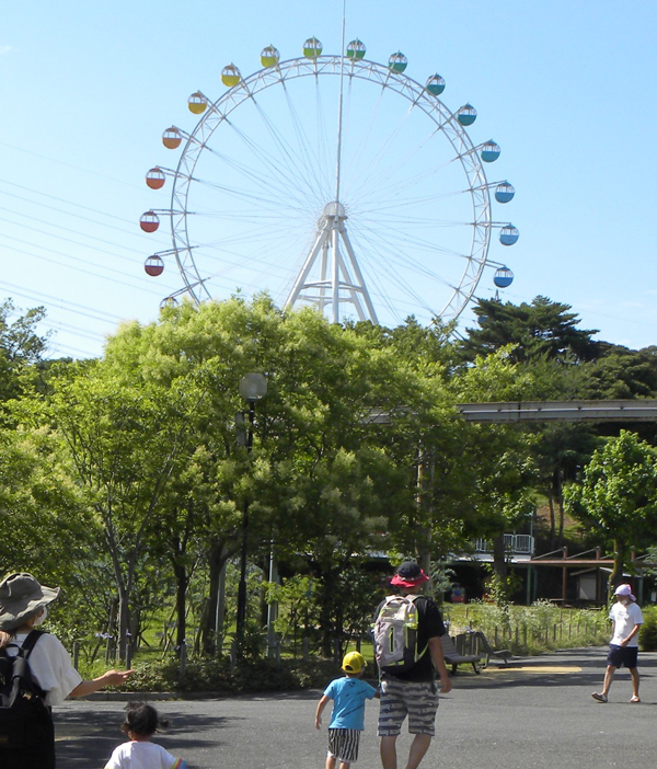 リニューアルされた観覧車（到津の森公園）