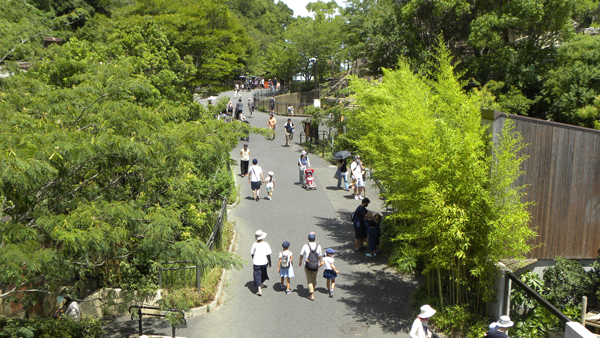 多くの木々が植えられた到津の森公園