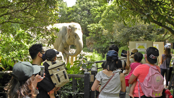 市民が支える動物園。人気のゾウ舎前は家族連れでいっぱい