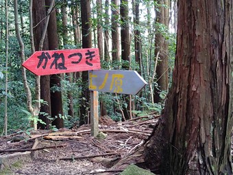 子どもたちが立てた道標