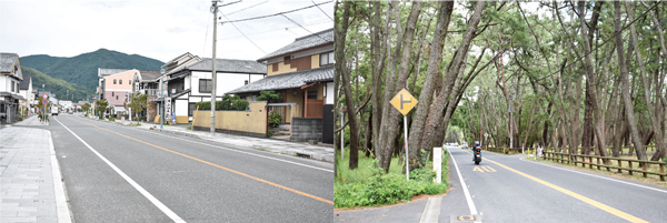 左：かつての街道筋 ／ 右：虹の松原