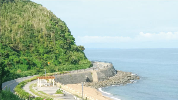 海岸線沿いのサンセットロード