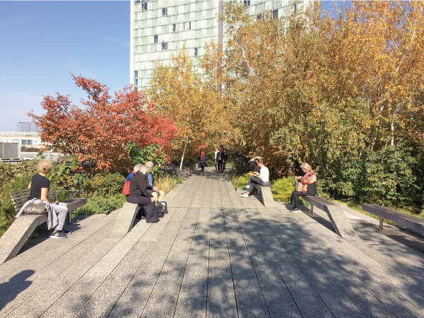 ニューヨークで鉄道高架跡を公園としたハイライン・プロジェクト（筆者撮影）