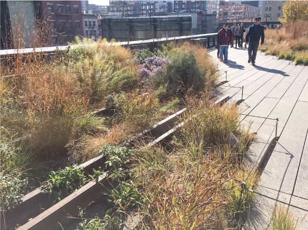 ニューヨークで鉄道高架跡を公園としたハイライン・プロジェクト（筆者撮影）