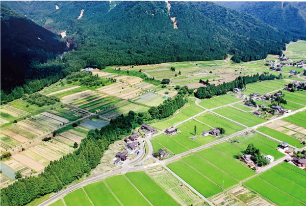 農耕民族日本 南向き志向の田園風景