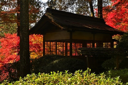 観光名所も少なくない：写真は紅葉が美しい大興善寺の契園