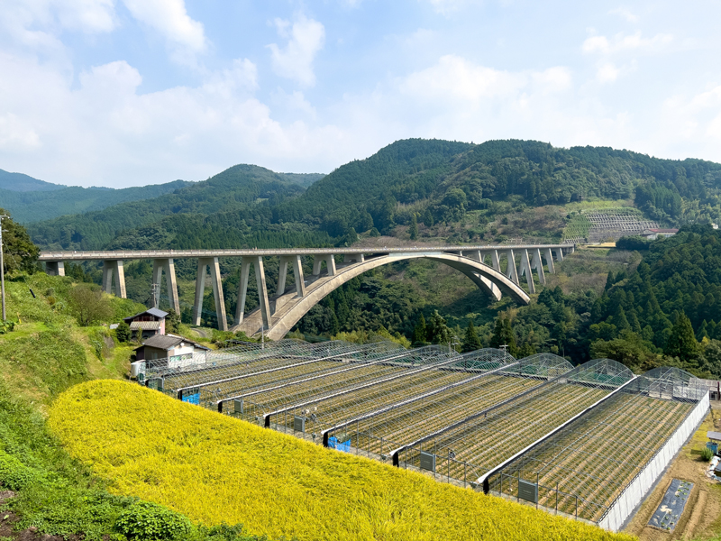 朧大橋 イメージ