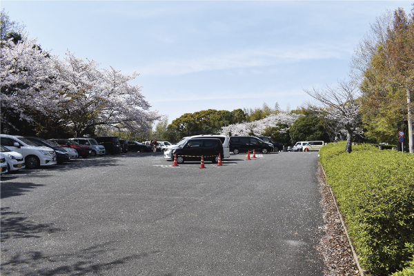 東平尾公園（大谷広場） 今回の事業対象区域に含まれる駐車場