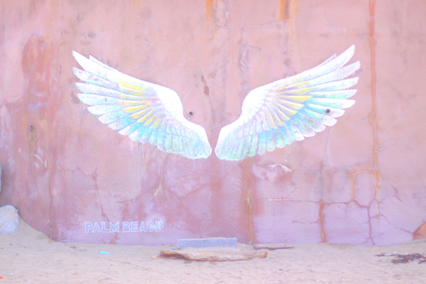 パームビーチ・ザ・ガーデンズから砂浜に降りたところの壁面に描かれた天使の羽（引用：糸島市観光協会HP）