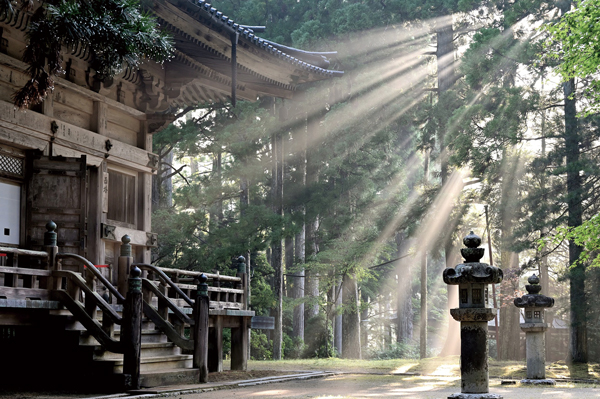 「夏の家、日本」の過去と未来　pixabay