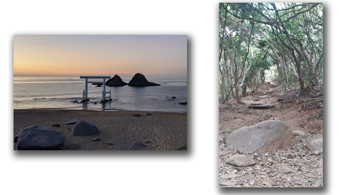 左：定番フォトスポットの二見ケ浦 / 右：芥屋トトロの森