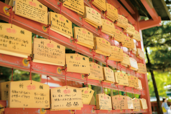 今までのものさしを外せるか　Unsplash