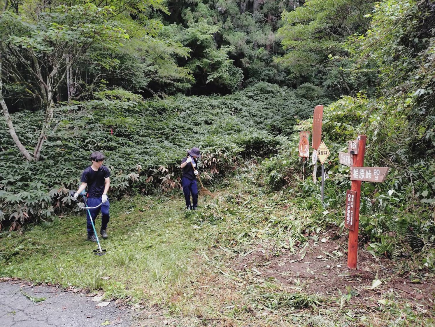 登山口周辺の草刈りを行う区役所職員