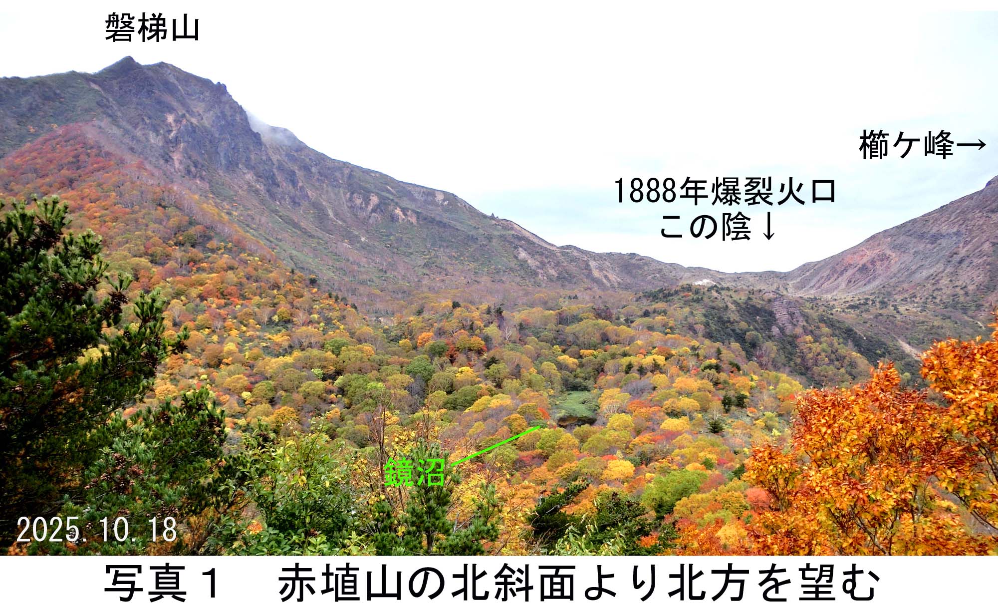 写真1