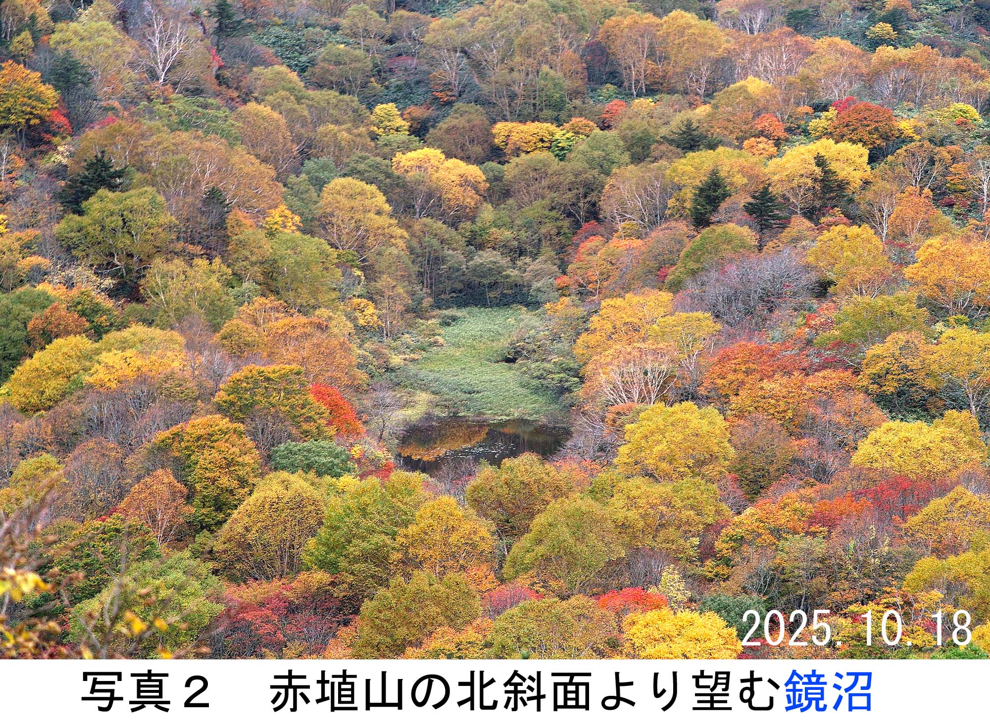 写真2
