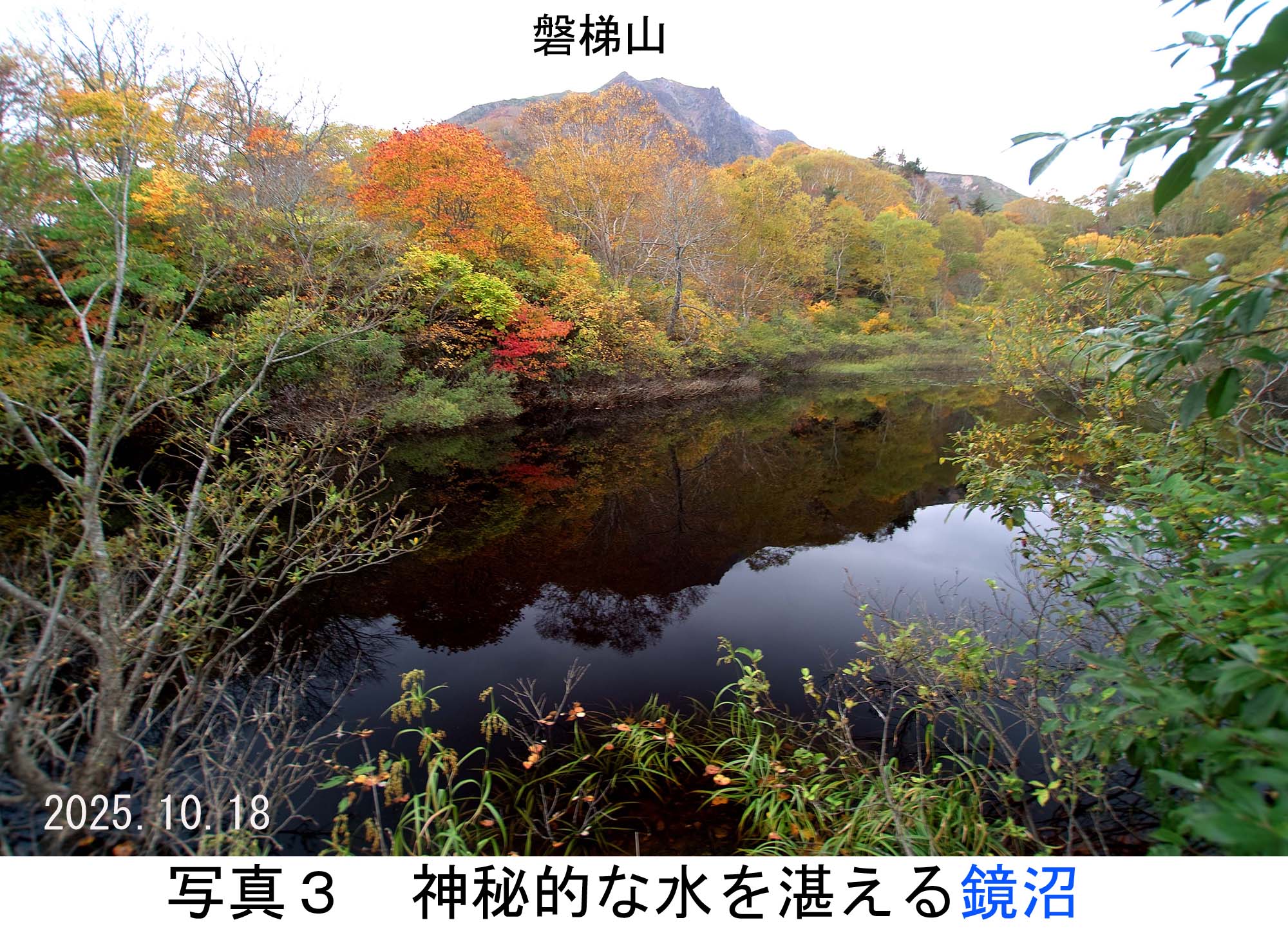 写真3