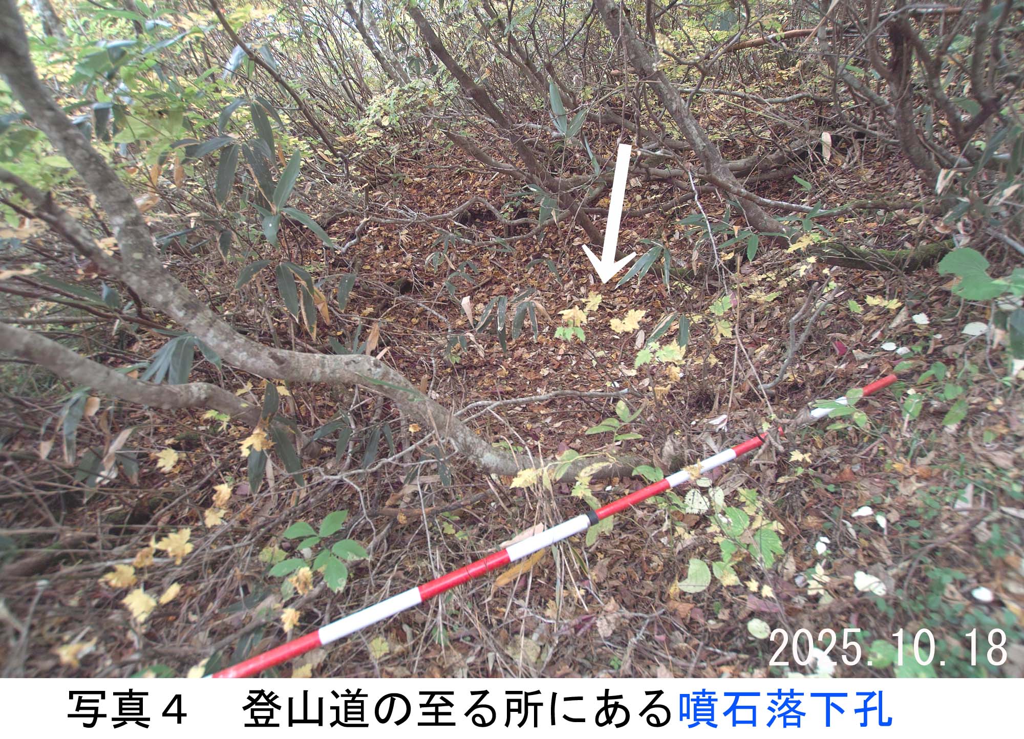 写真4