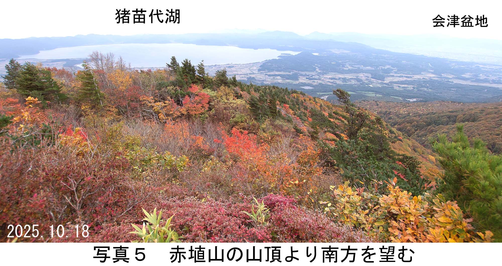 写真5