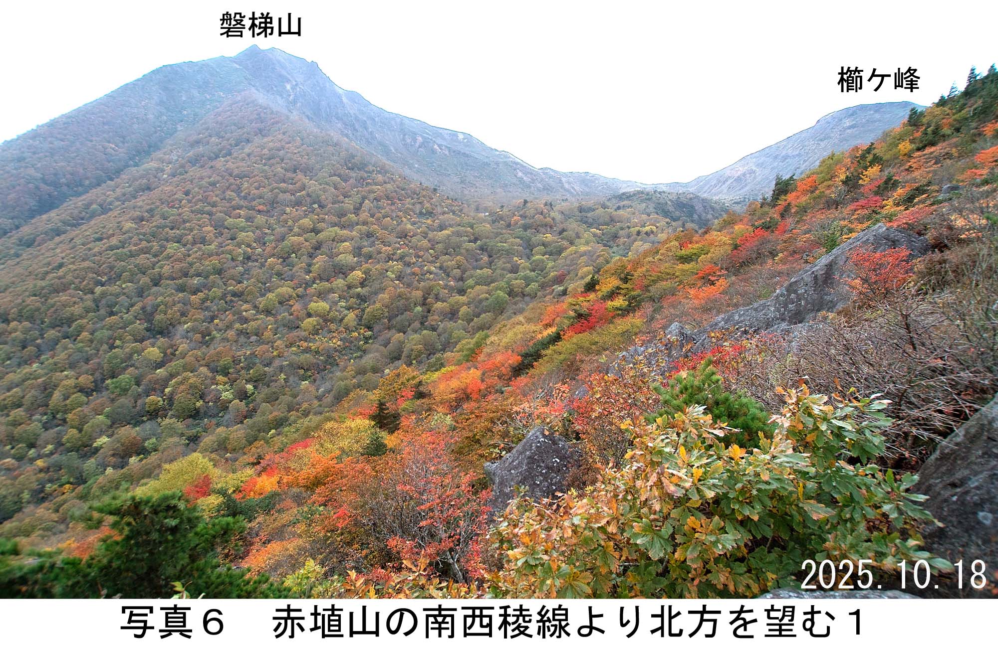 写真6