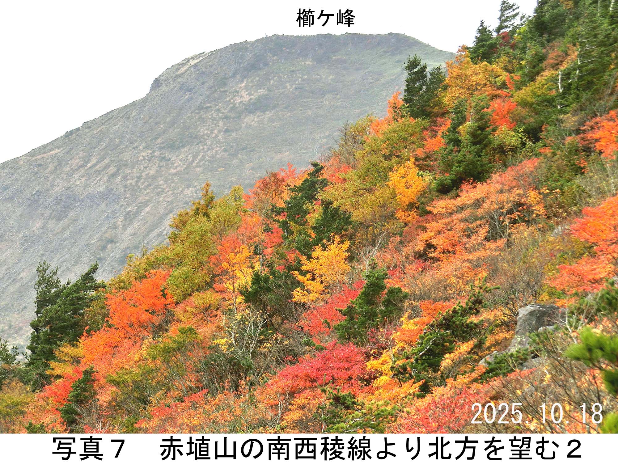 写真7