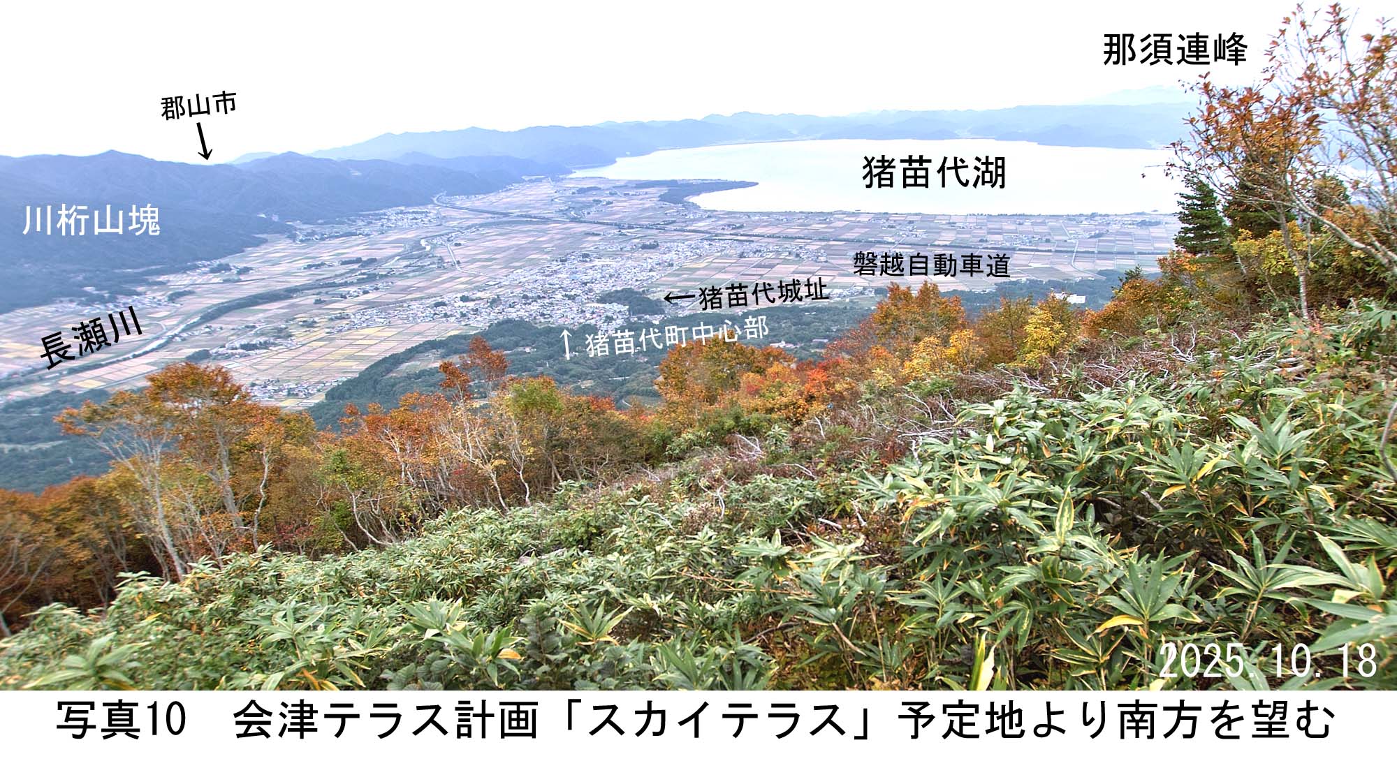 写真10