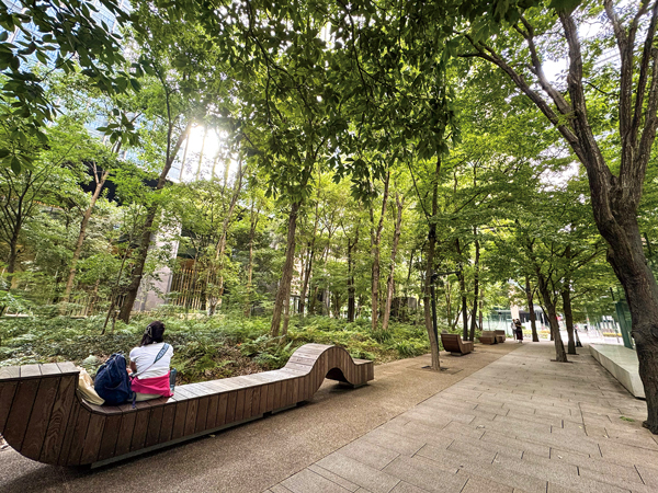 東京のオフィス街の中心部にある「大手町の森」