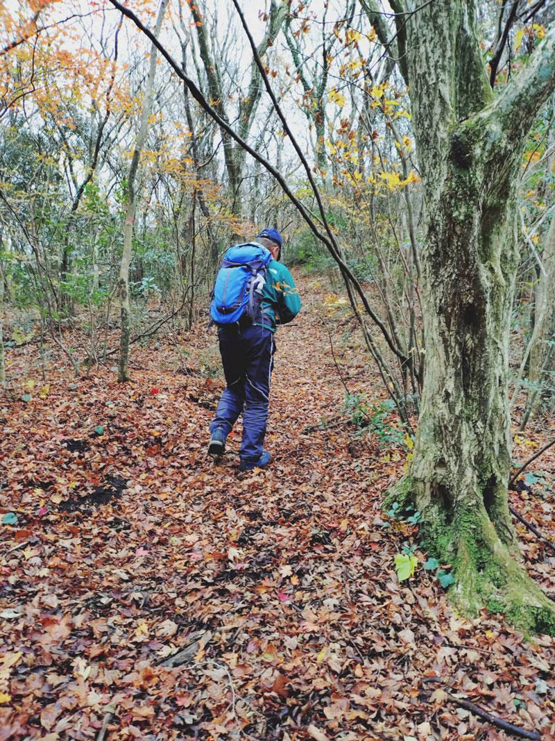 晩秋の山を歩く会員W