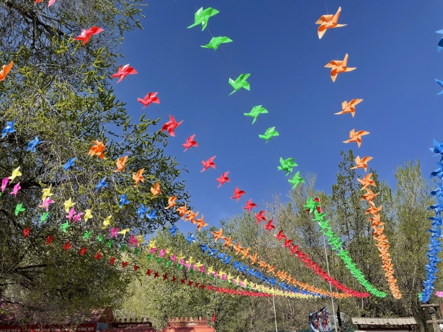 新疆ウイグル自治区　イメージ