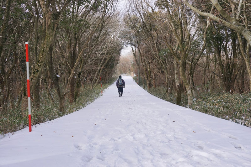 雪道を歩く後輩O （26年1月12日）