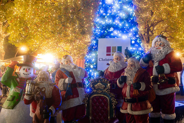 上野恩賜公園 袴腰広場で開催されたクリスマスアドベント