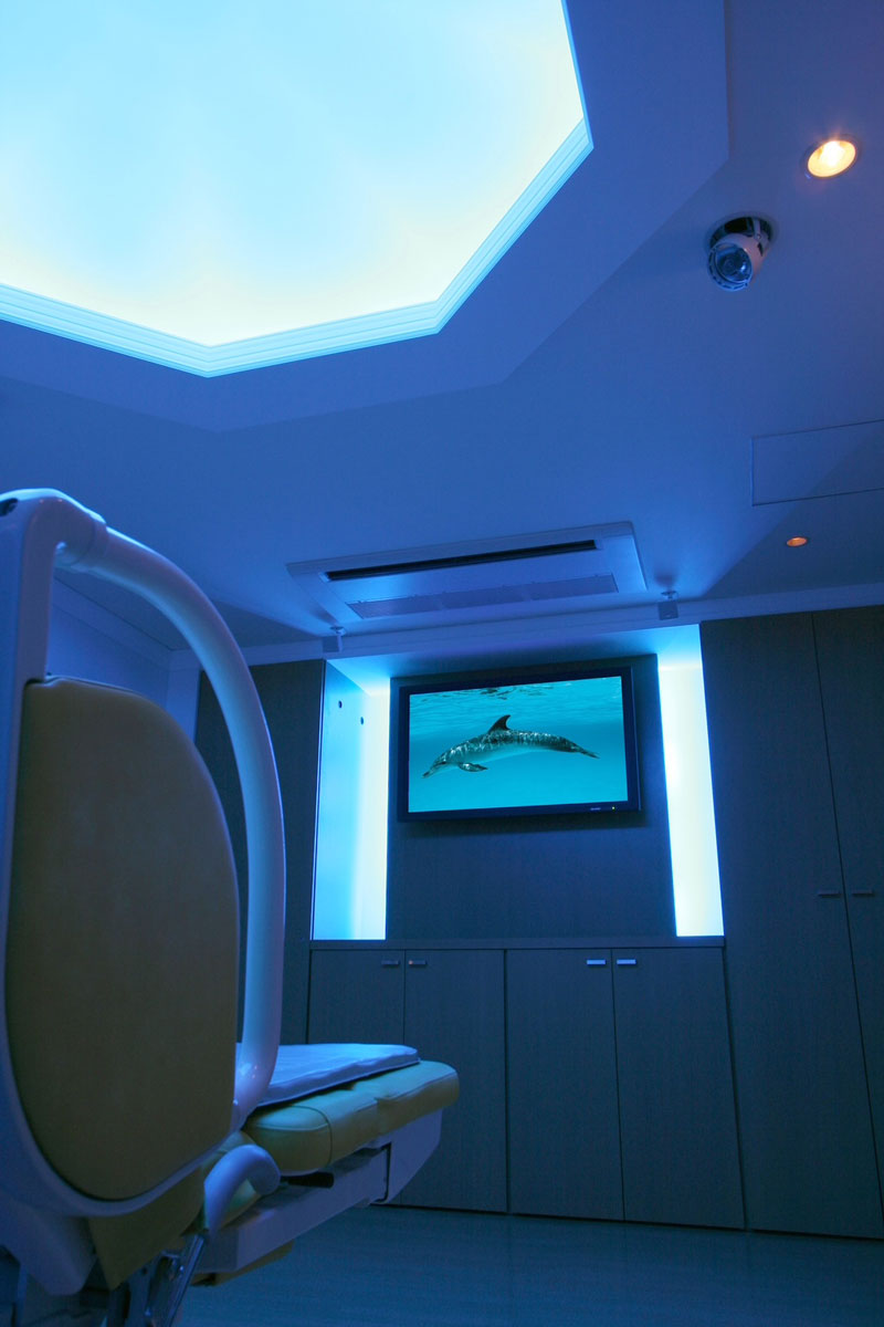 バースサポートシステム（BSS）