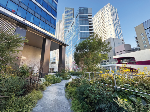 渋谷駅前の「Shibuya Sakura Stage」では屋上や壁面などを緑化している
