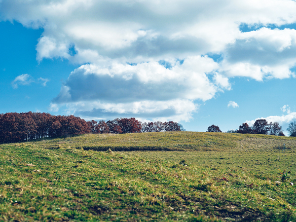 北海道室蘭市の開園農地。日鉄興和不動産が市からニュータウン用地として取得していた遊休地（提供＝日鉄興和不動産農業）