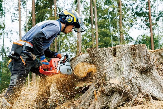 福岡県糸島市雷山地区にて、農業と林業の再生に取り組む吉村翼さん