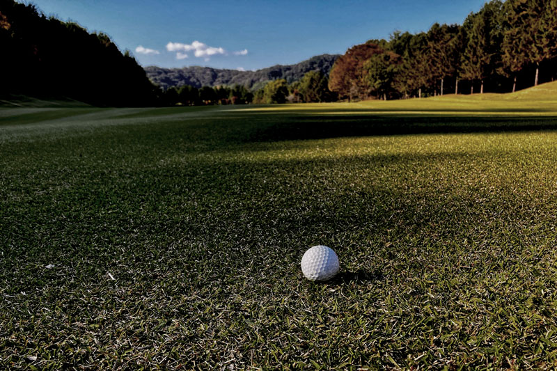 ゴルフ　イメージ