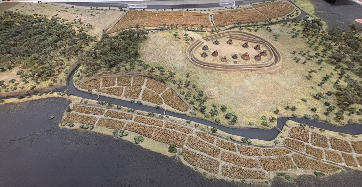 板付遺跡復元模型（筆者撮影） 板付遺跡弥生館所蔵