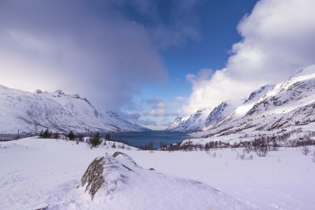 北極圏　イメージ
