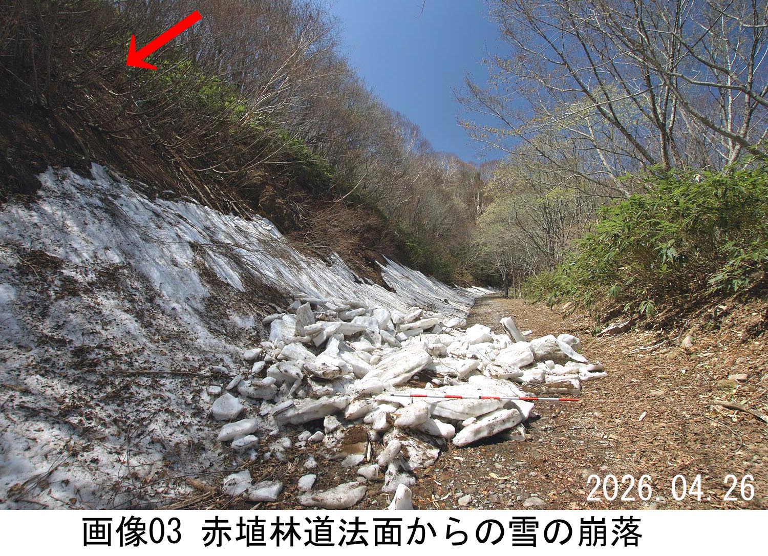 画像03