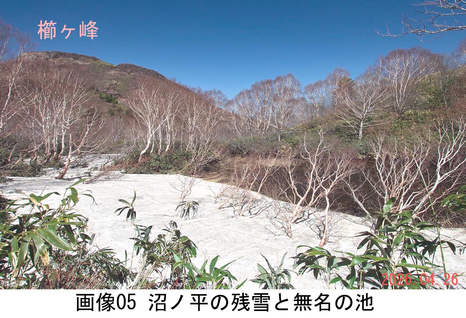 画像05