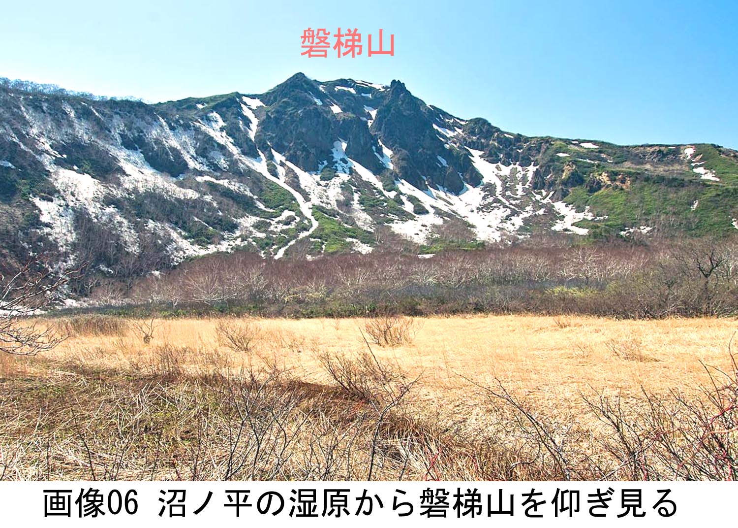 画像06