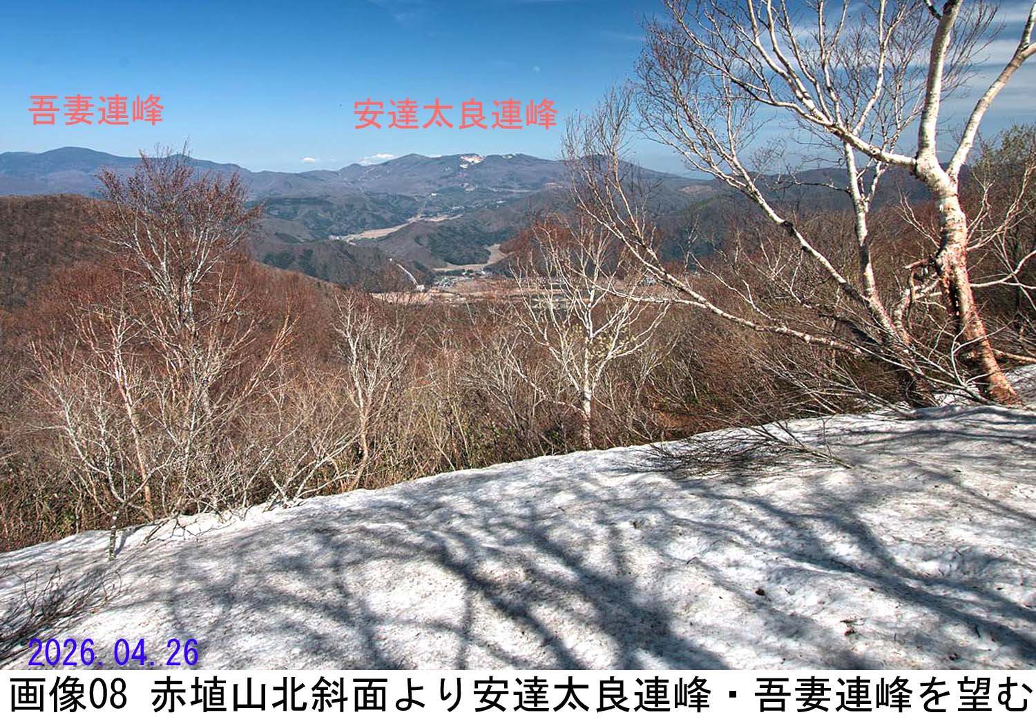 画像08