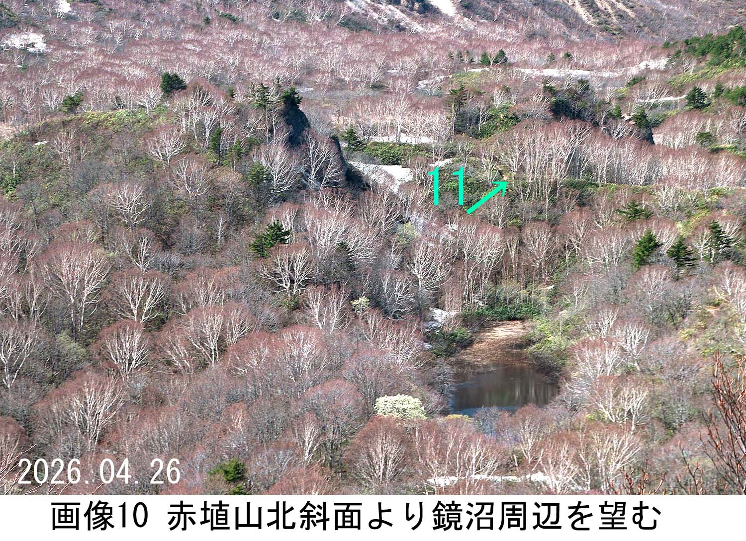 画像10