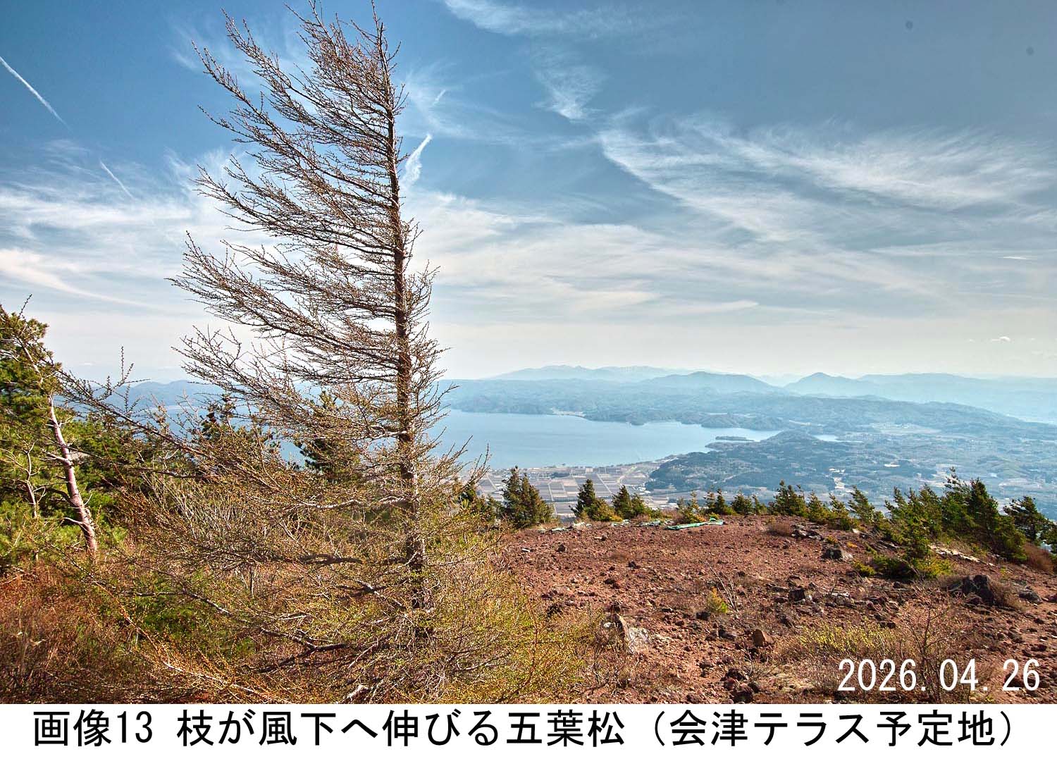 画像13