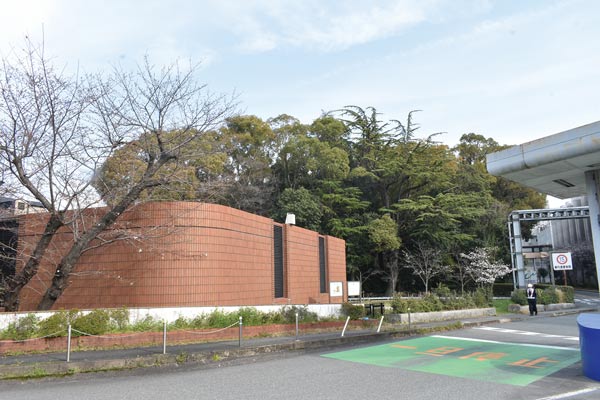 奥の木々が茂った場所が「東光寺剣塚古墳」