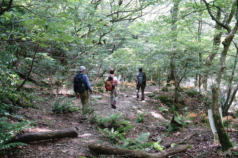渓谷沿いのお花畑を行く仲間たち 標高600m付近