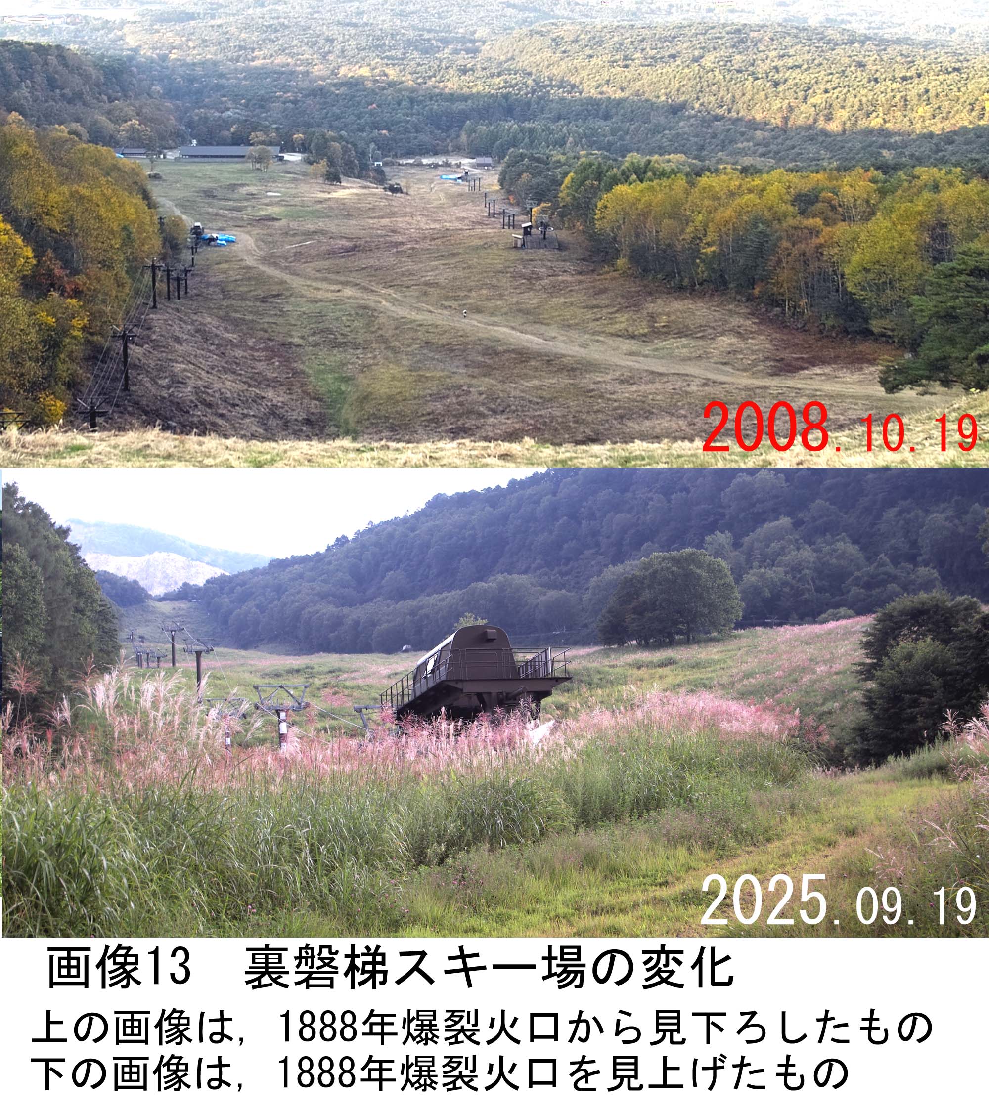 画像13