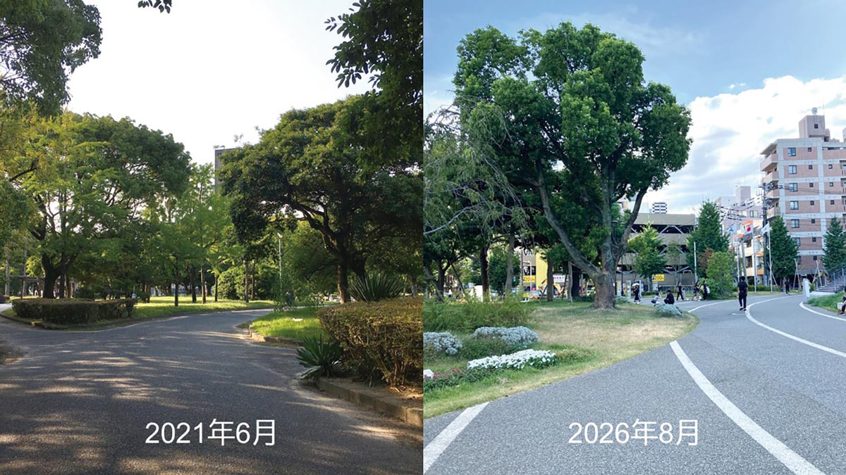 リニューアル前後の須崎公園の変化