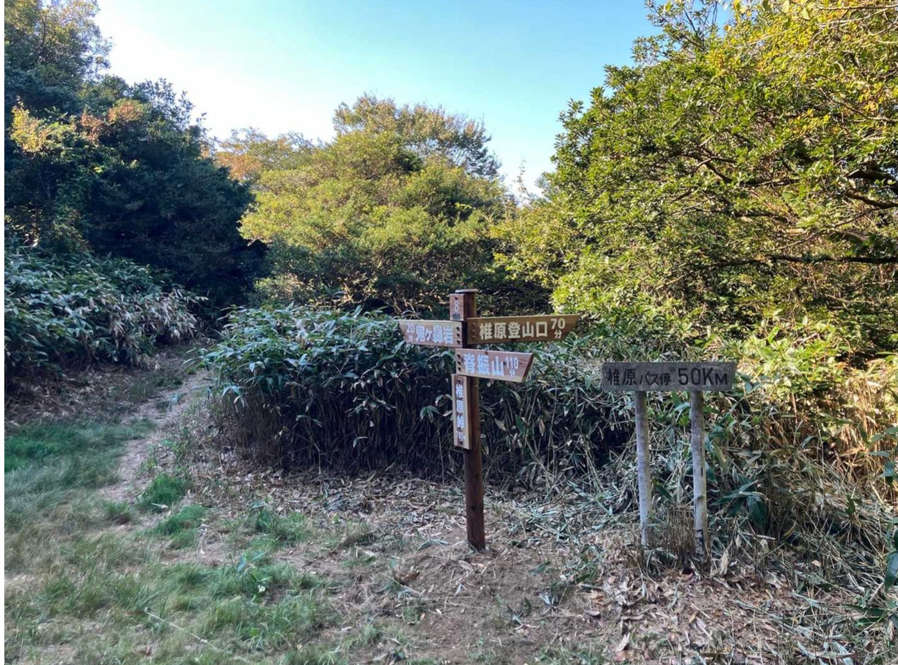 縦走路に立つ椎原峠の道標